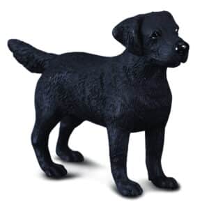 CollectA Labrador