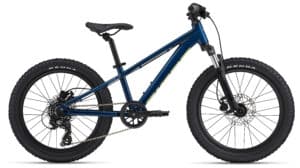 Giant STP 20 FS – Blue Palace