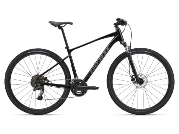 Giant Roam 2