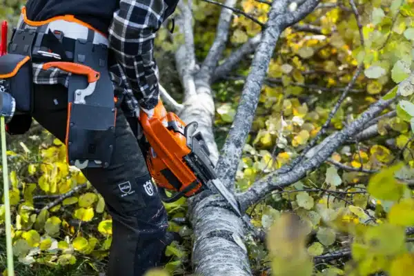 Husqvarna 445S - Image 6