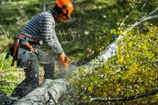 Husqvarna 450S - Image 3